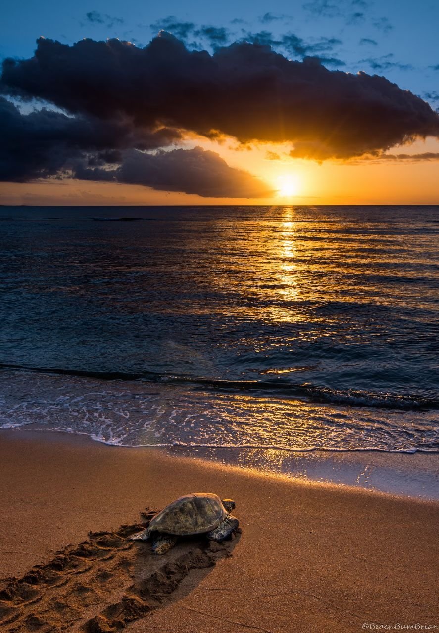 Настроение море