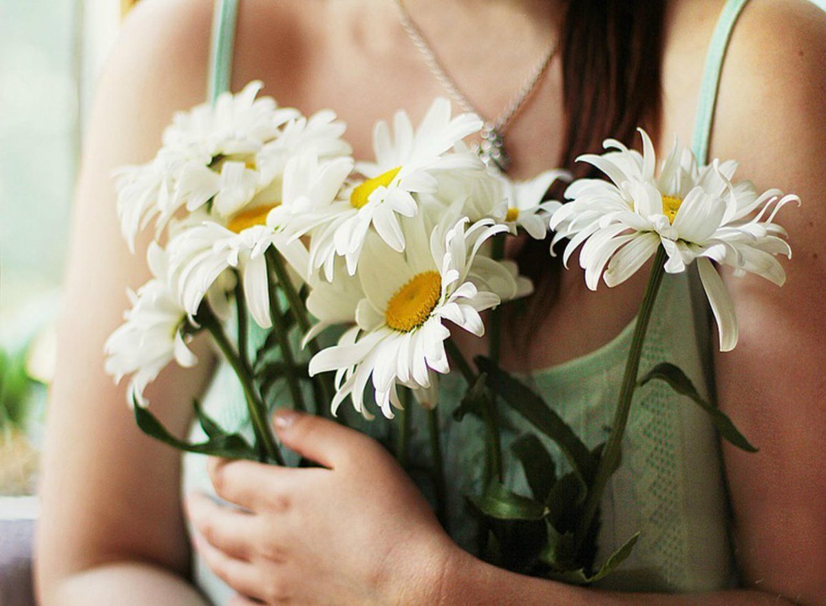 Ромашка на ладони