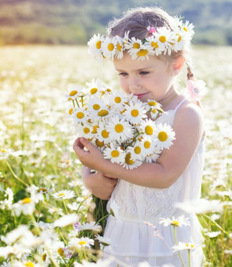 Букет ромашек в руках