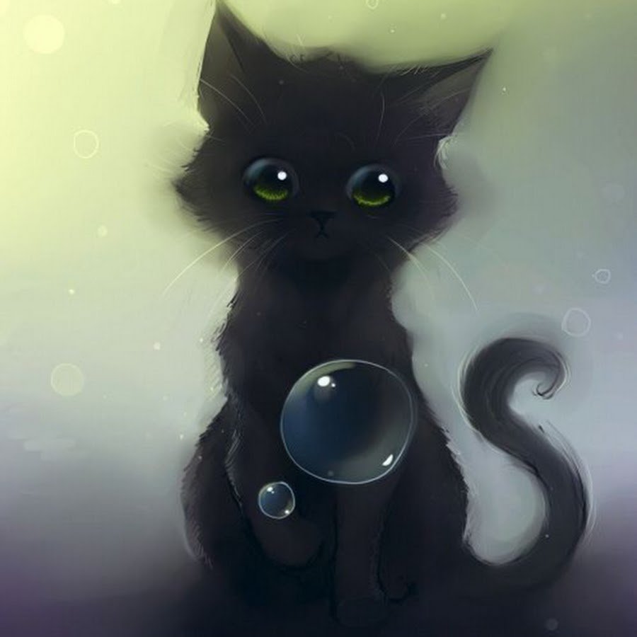 Животные чб