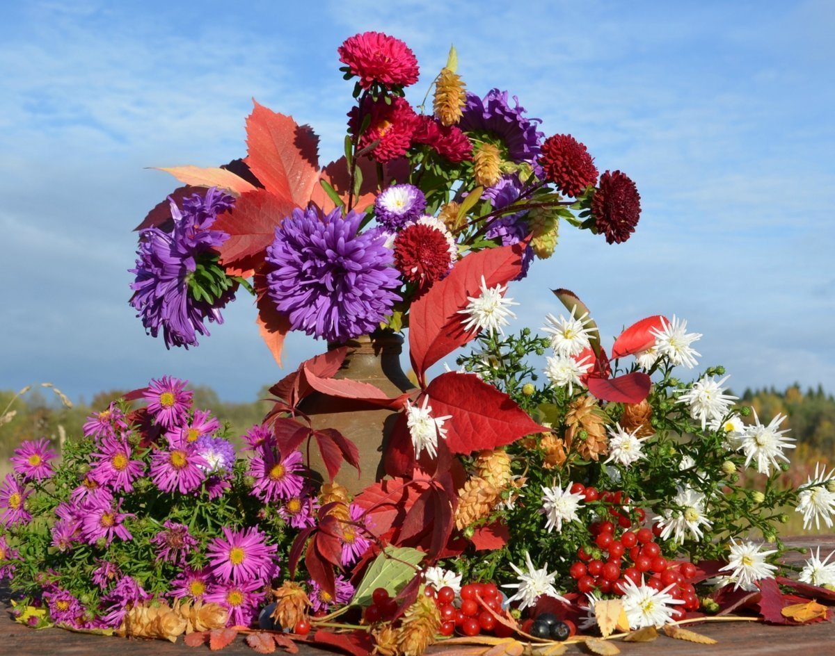 Осенние цвета