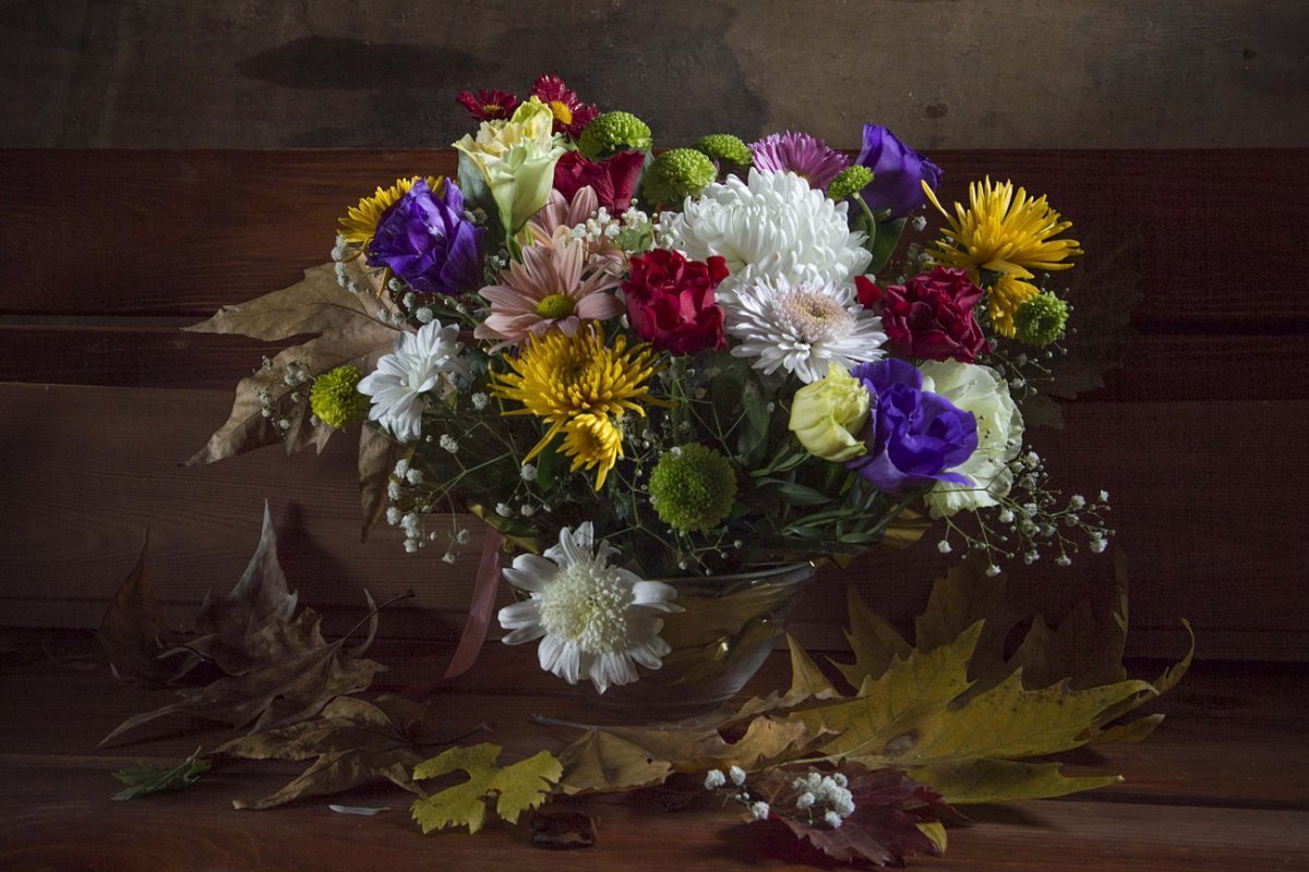 Хризантема листопад