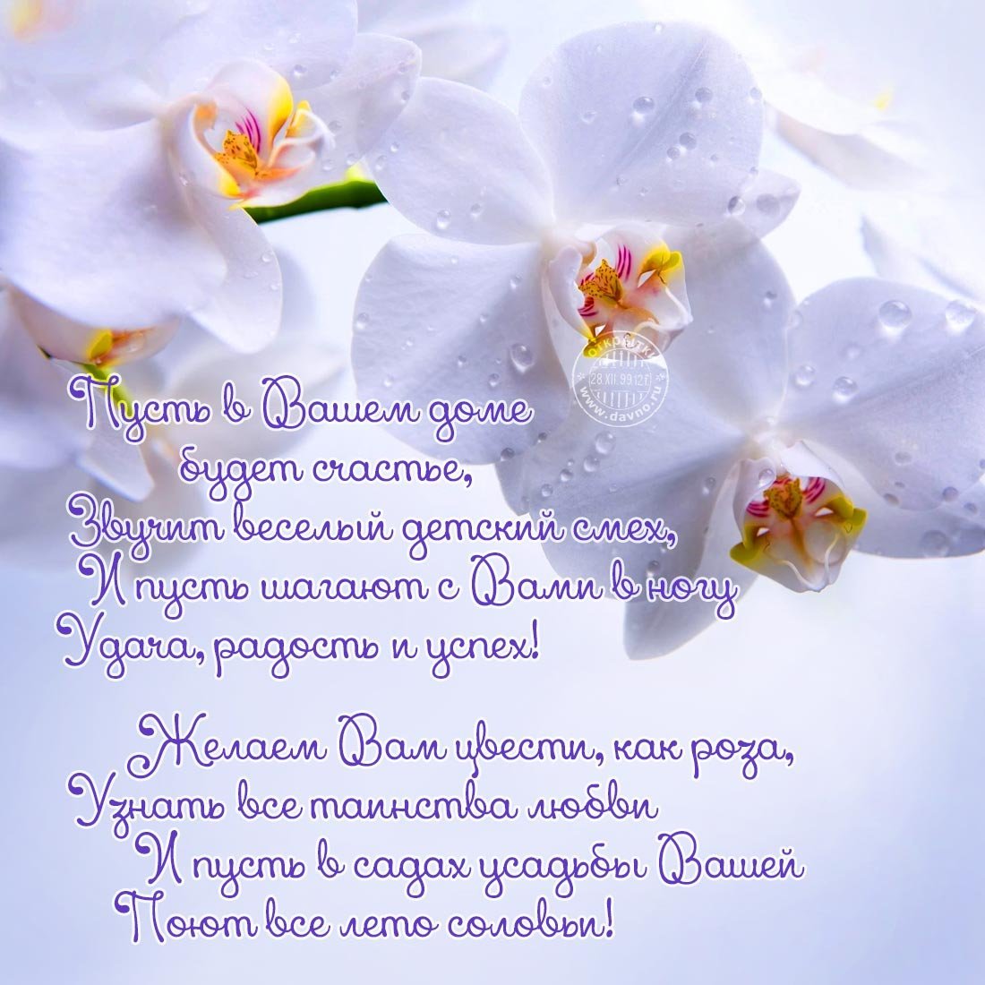 Туфли на день рождения