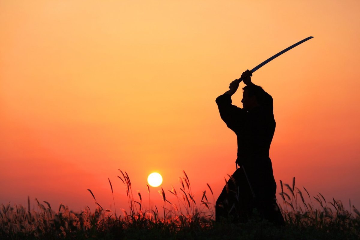 Бусидо. Кодекс самурая