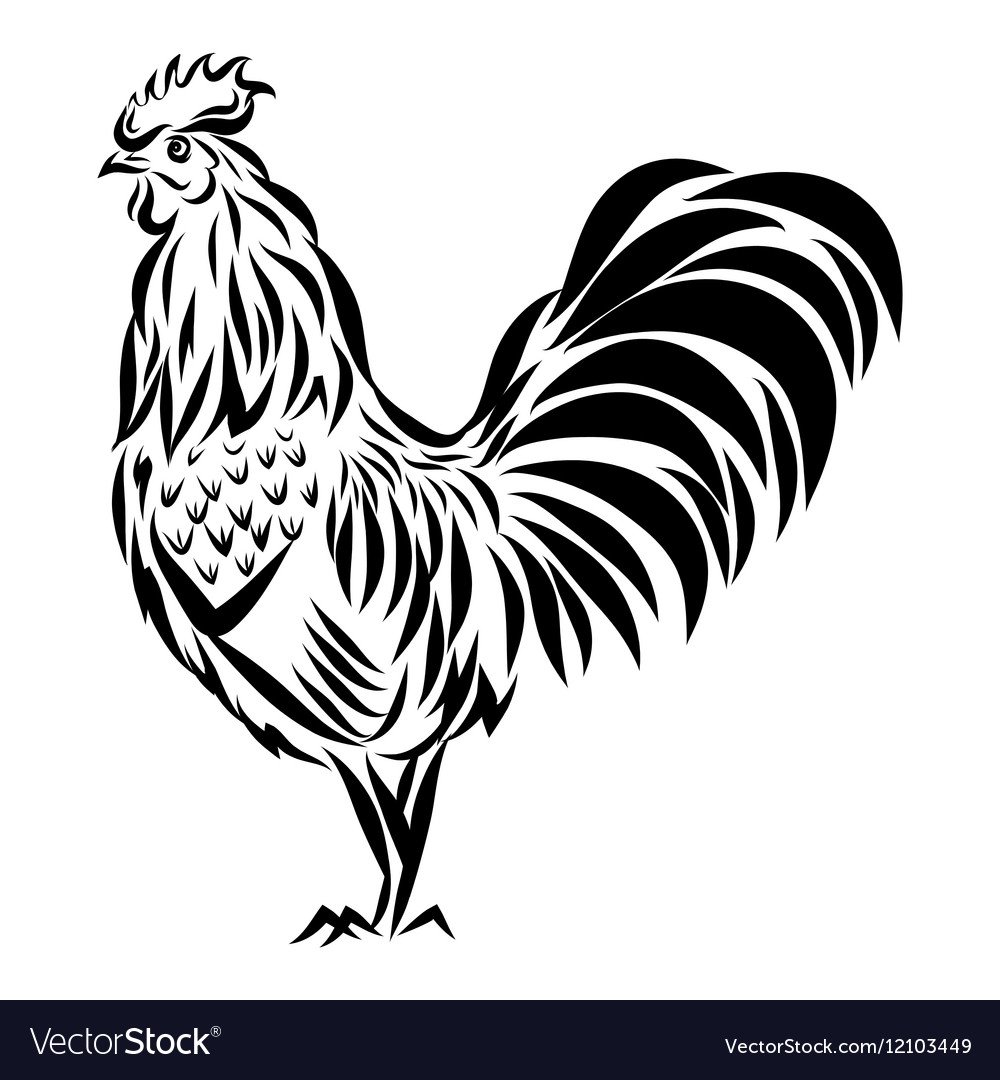 Петушок черно белый