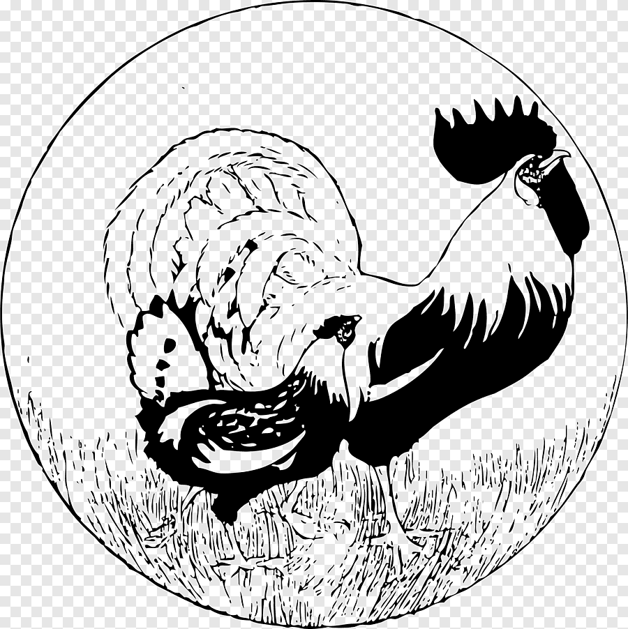 Курица раскраска