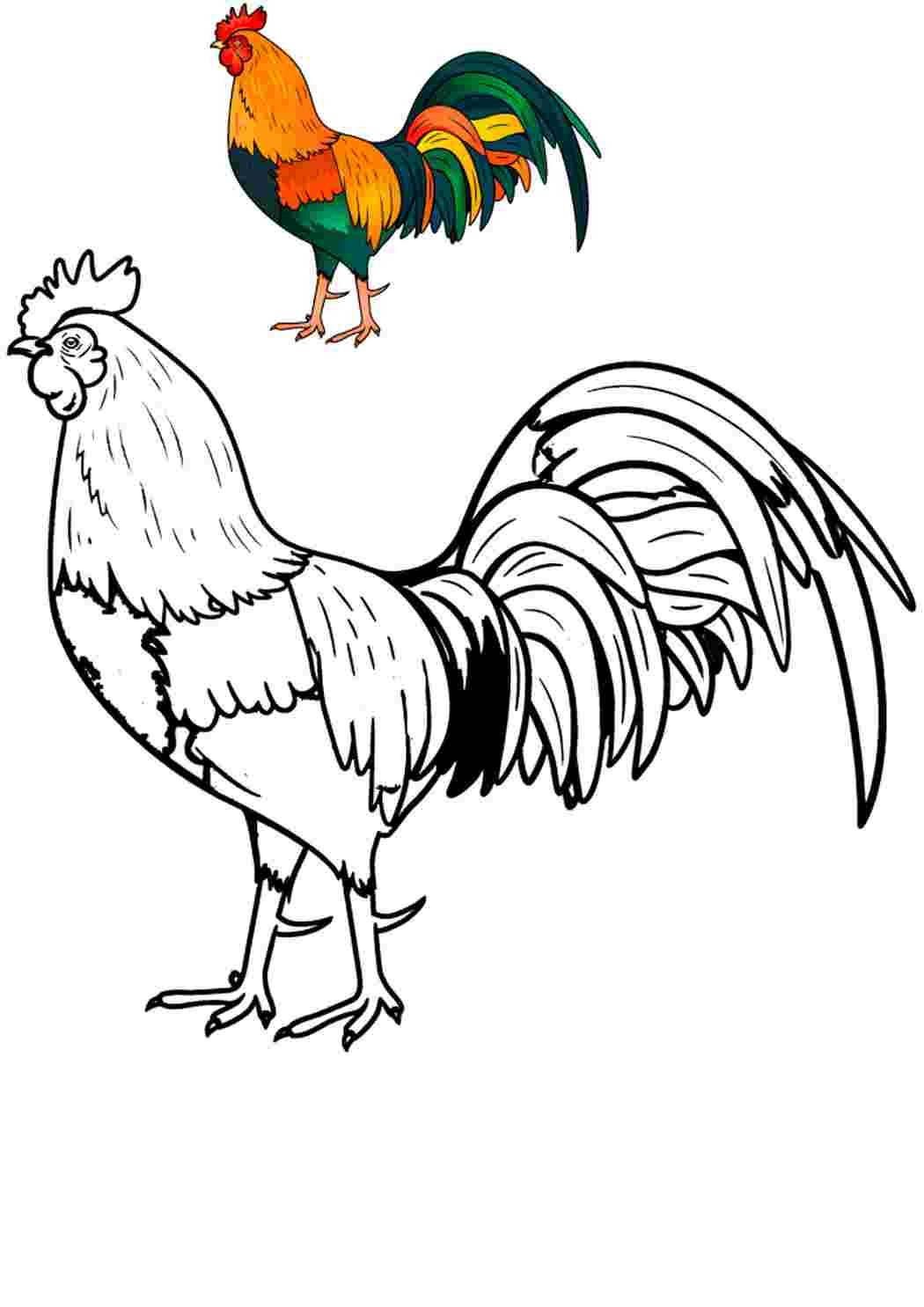 Петух антистресс