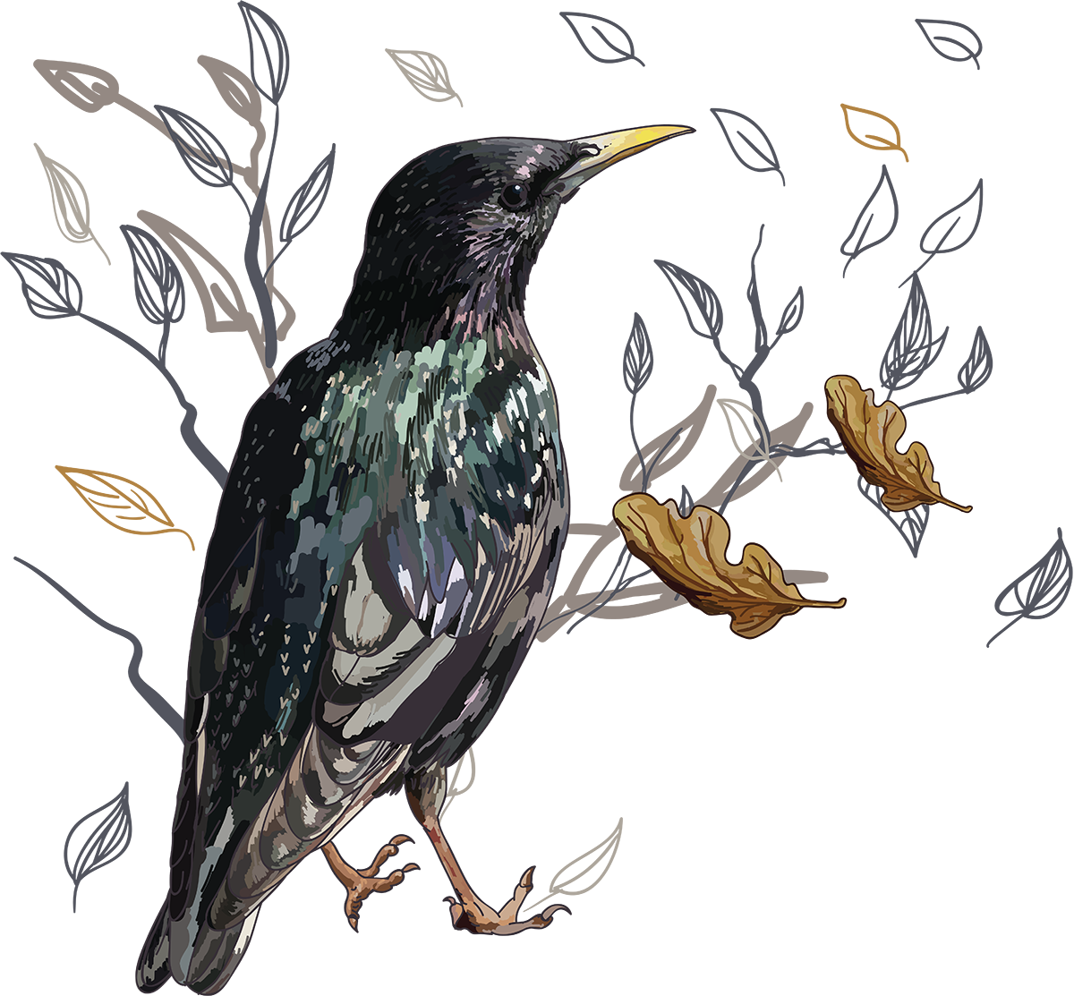 Скворец рисунок для детей