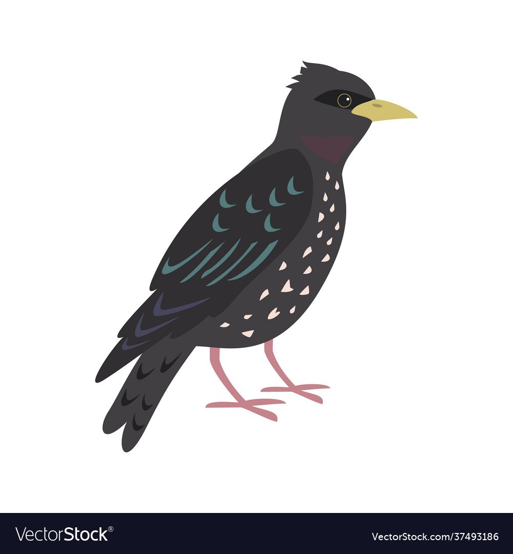 Скворец с Аленушкой нарисовать