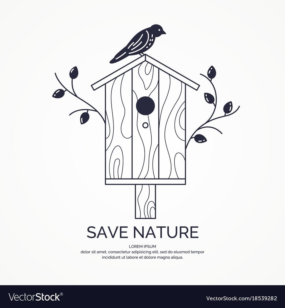 Скворец раскраска для детей