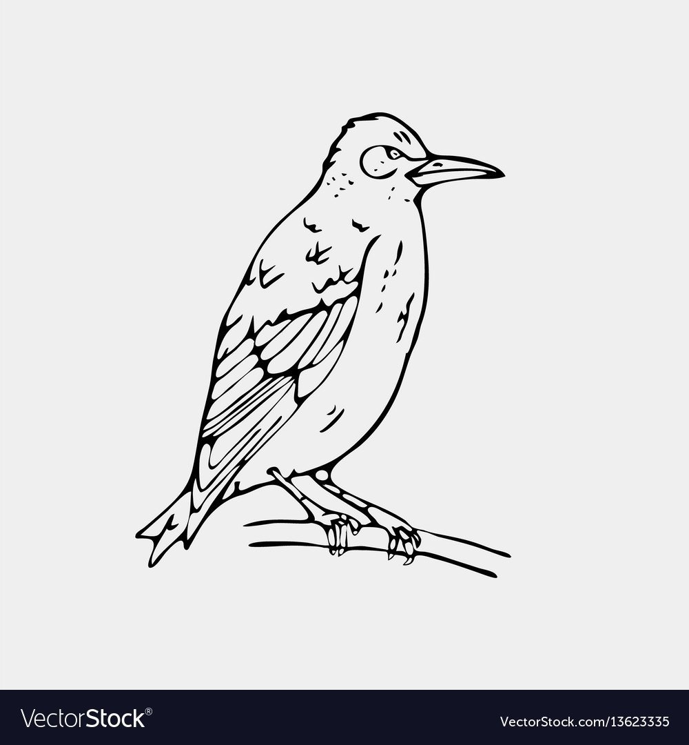 Скворцы мультяшные