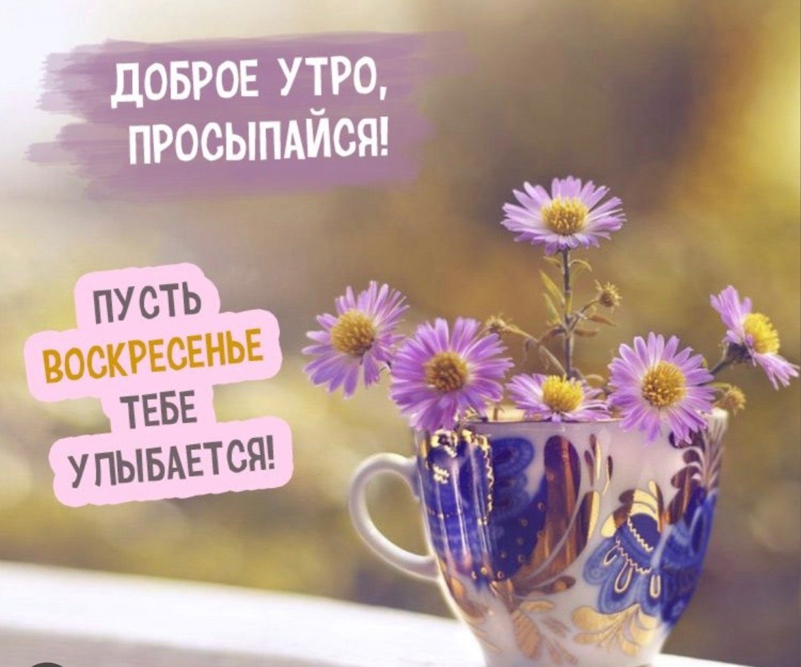 С добрым воскресным утром