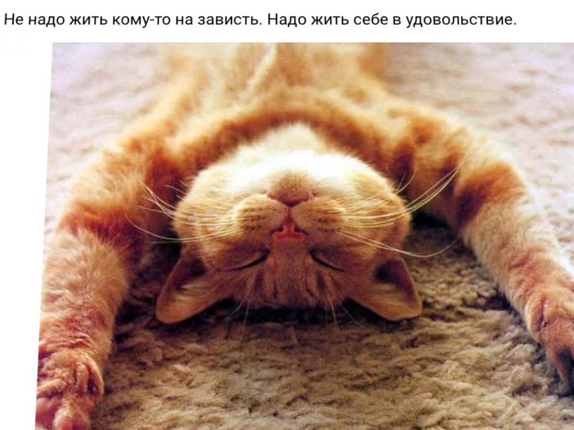 Жизнь надо жить в удовольствие