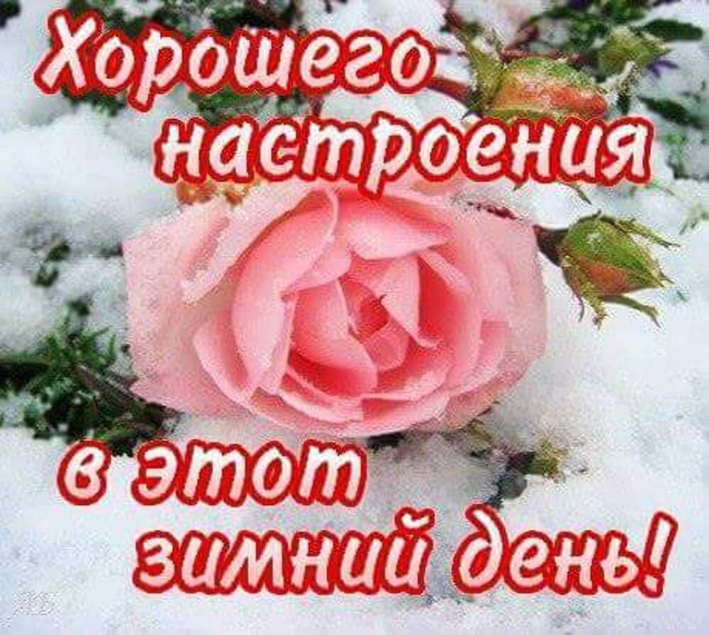 Отличного настроения в зимний день