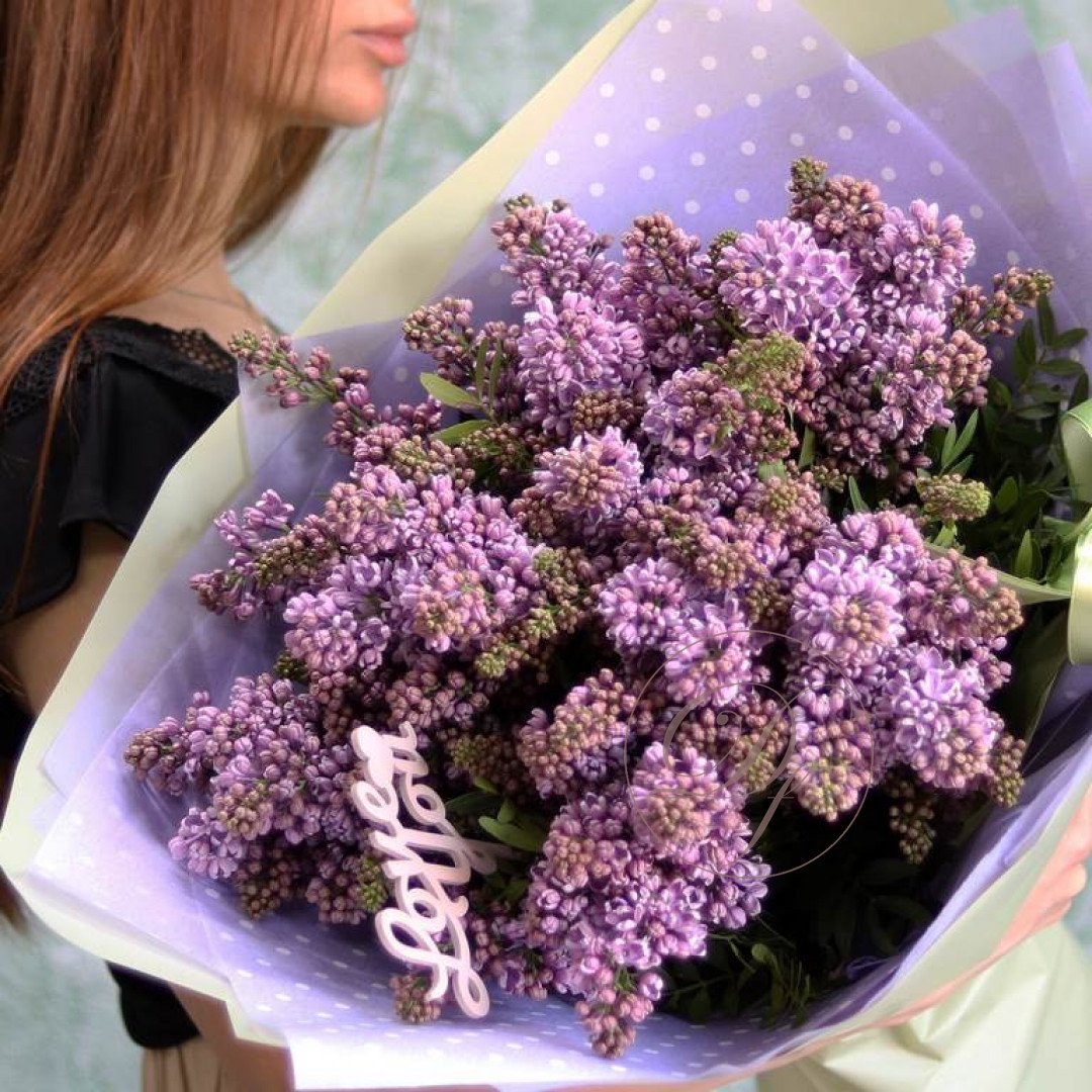 Сирень микс