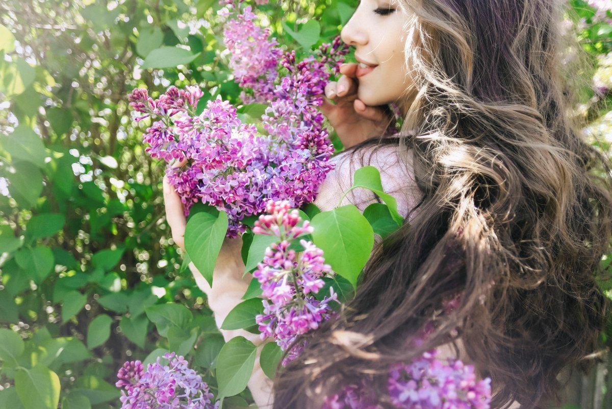 Сирень Хелен