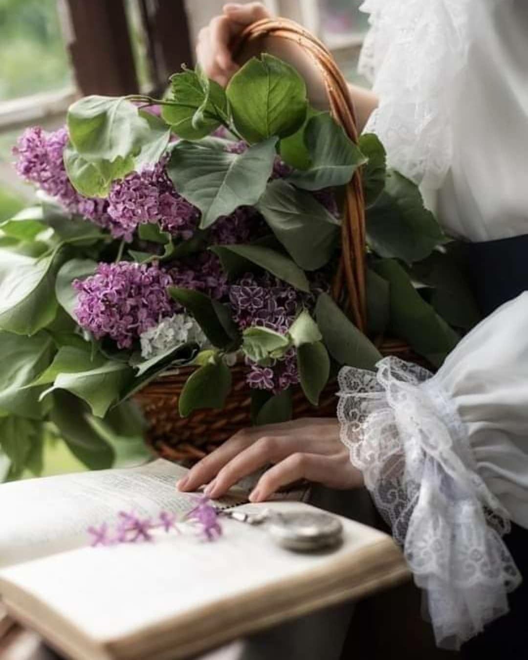 Изящество цветов