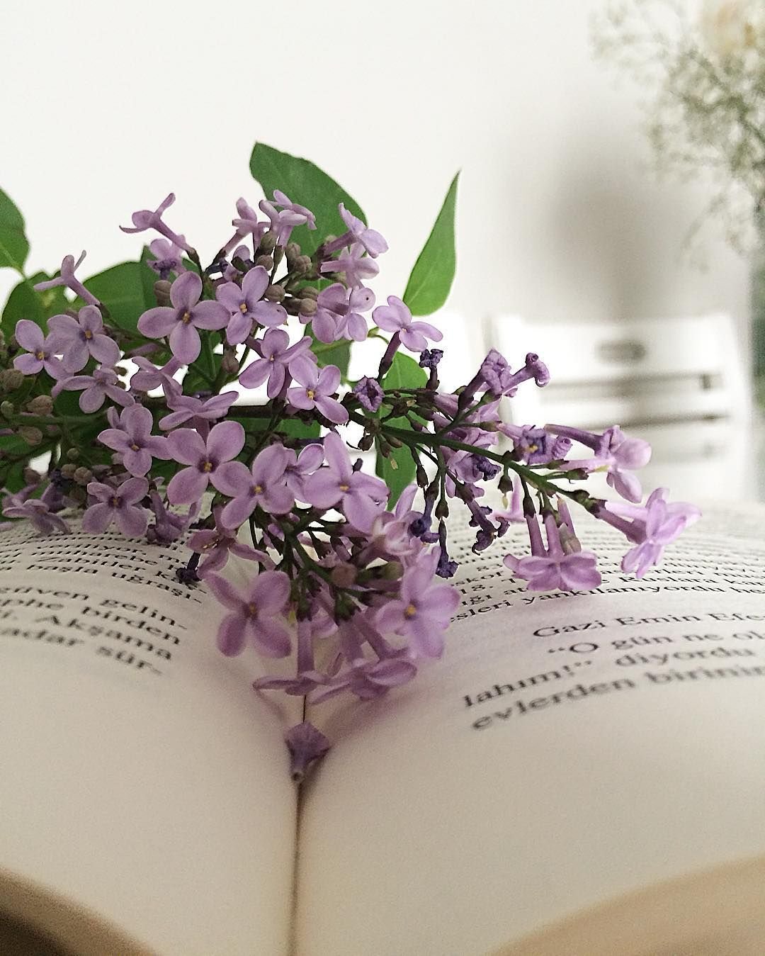 Книга цветы