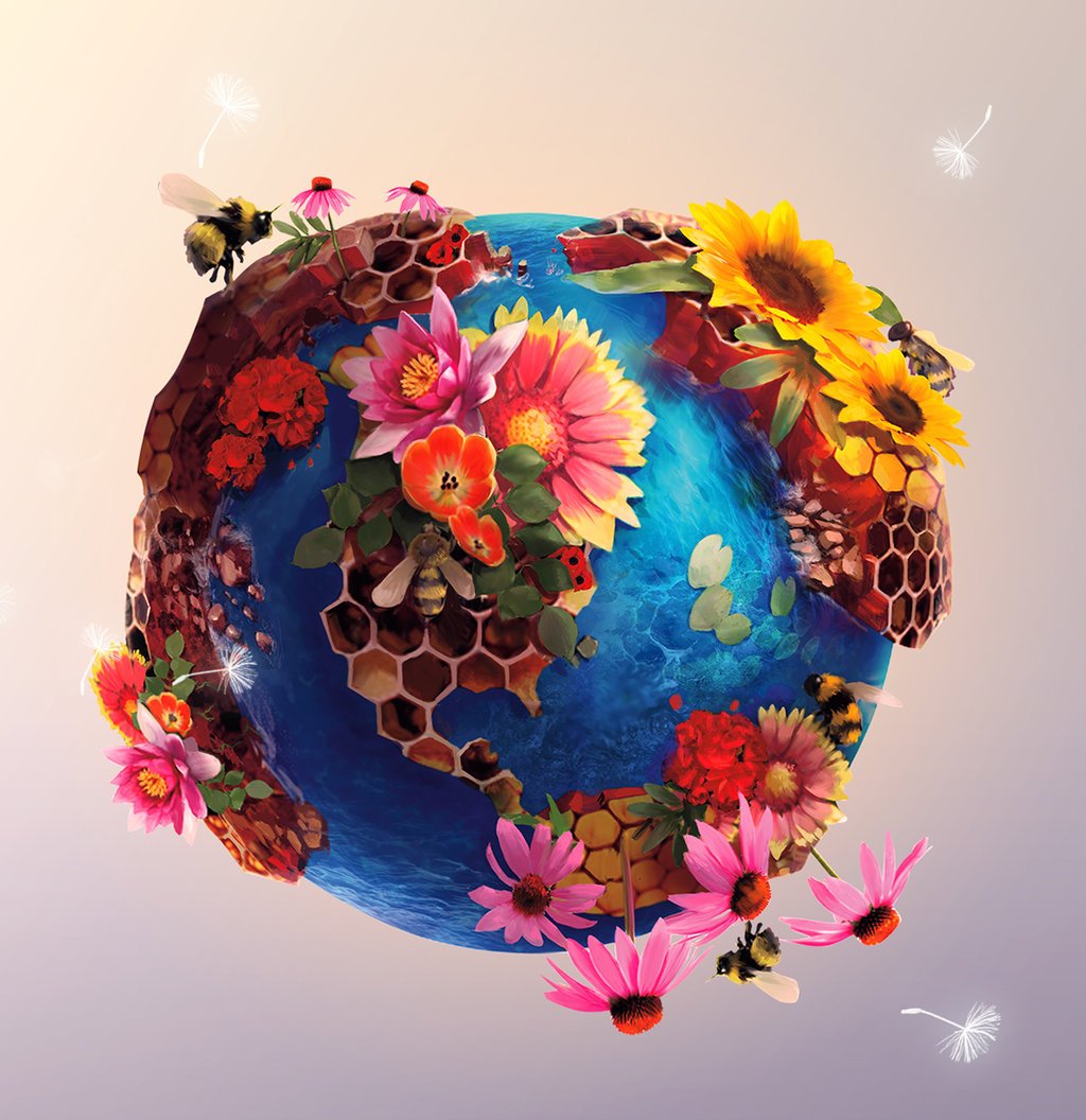 Планета земля в цветах