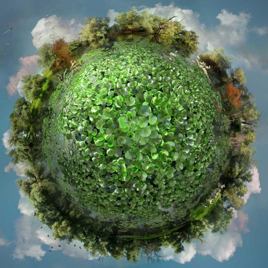 Планета зелени