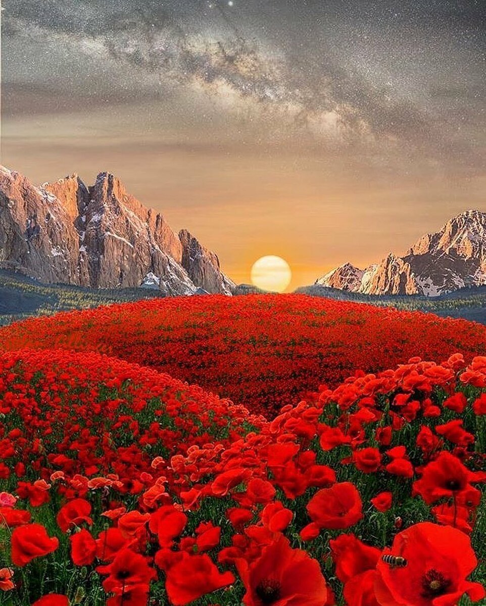 Великолепие природы