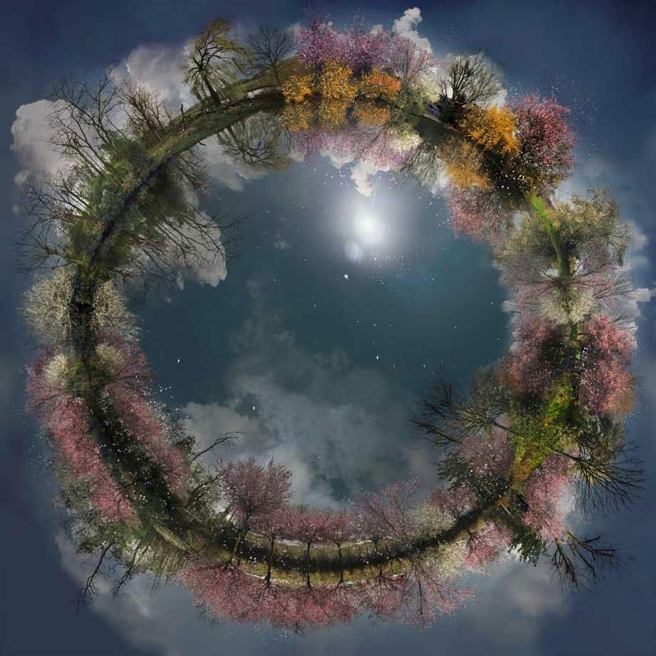 Круг в природе