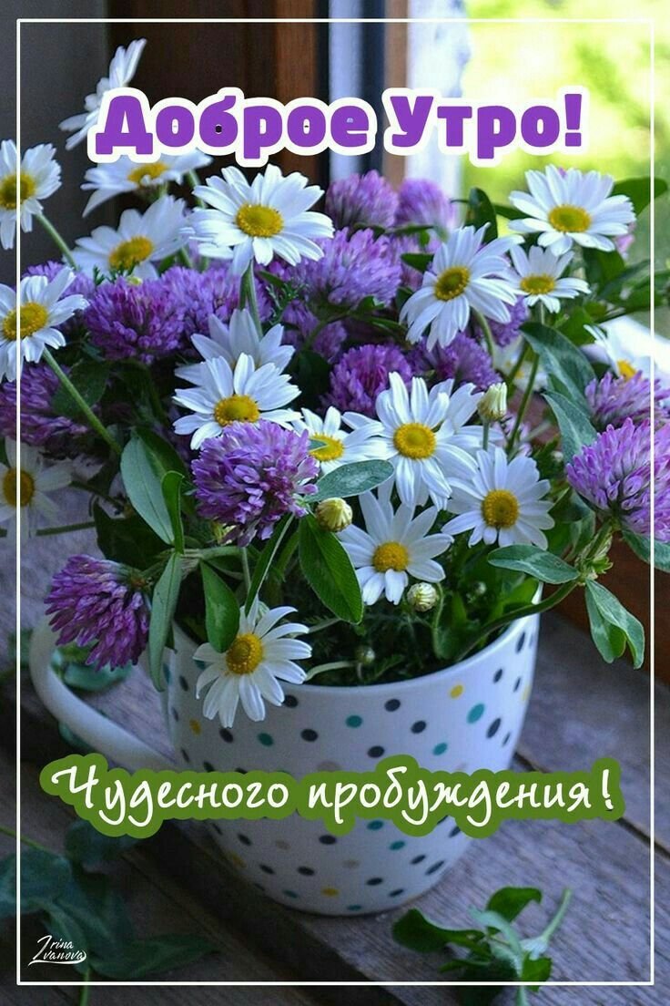 Доброе утро и отличного настроения