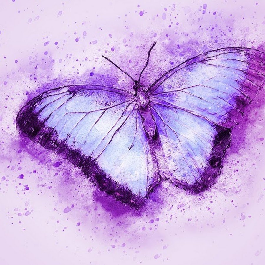 Бабочка арт