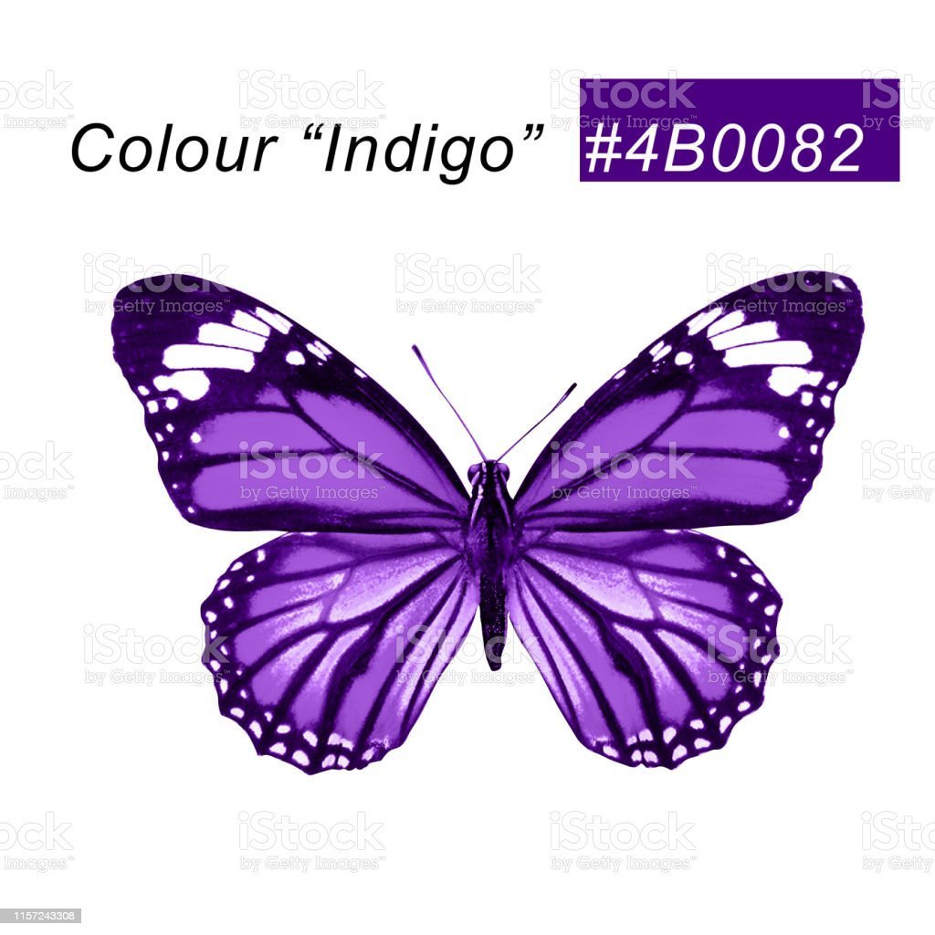 Что обозначает фиолетовая бабочка рядом с ребёнком