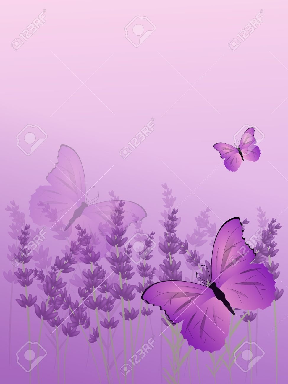 Бабочки лавандового цвета