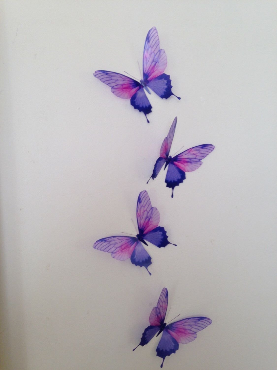 Фон бабочки