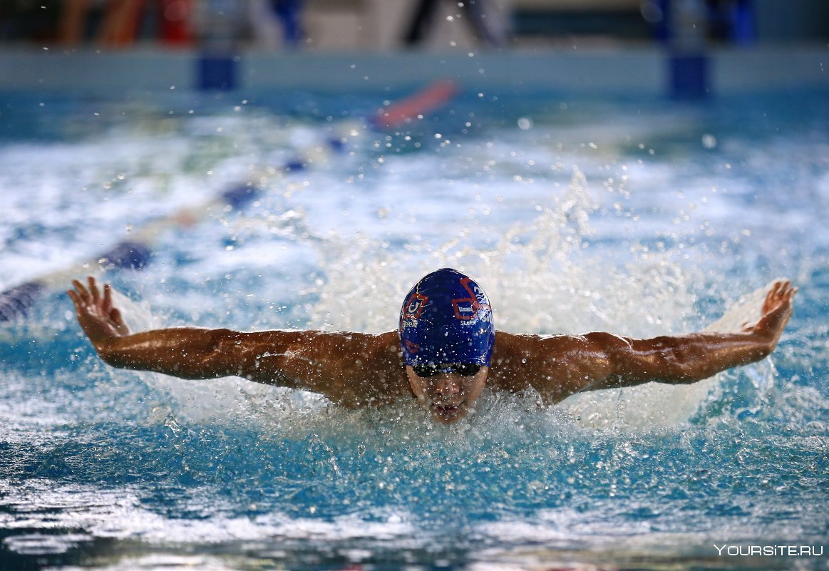 Баттерфляй плавание