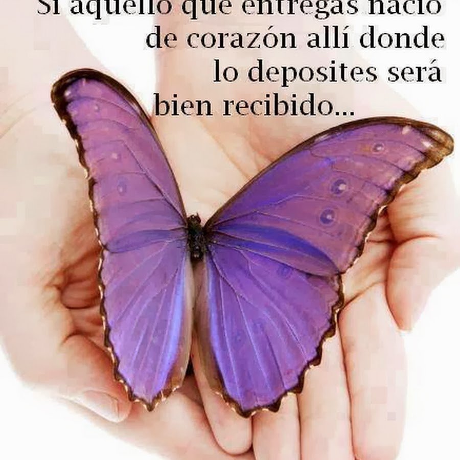 Сиреневые бабочки