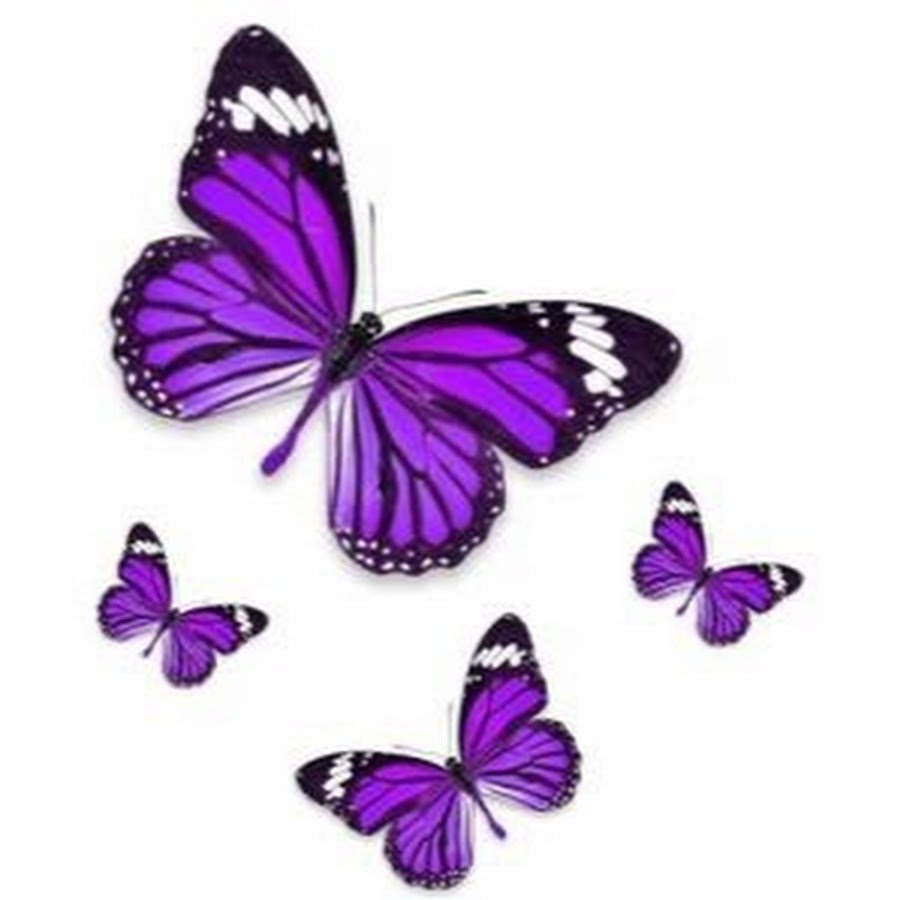 Акварельные бабочки