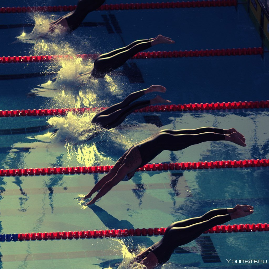 Пловцы на старте Баттерфляй