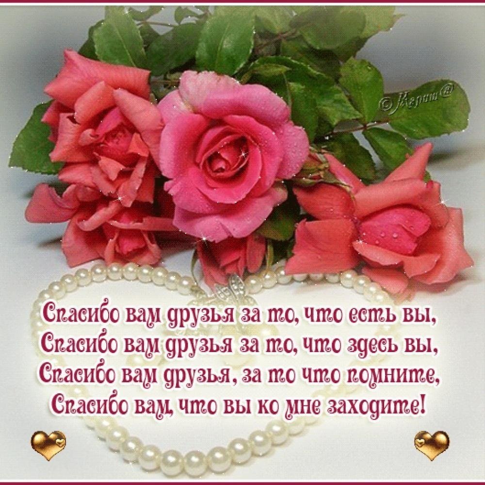 Спасибо за поздравления с днем рождения