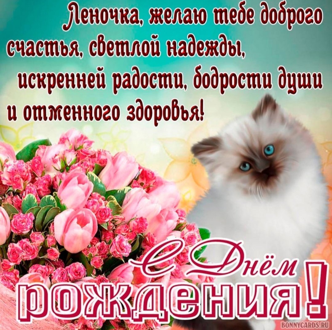 С днем рождения прикол