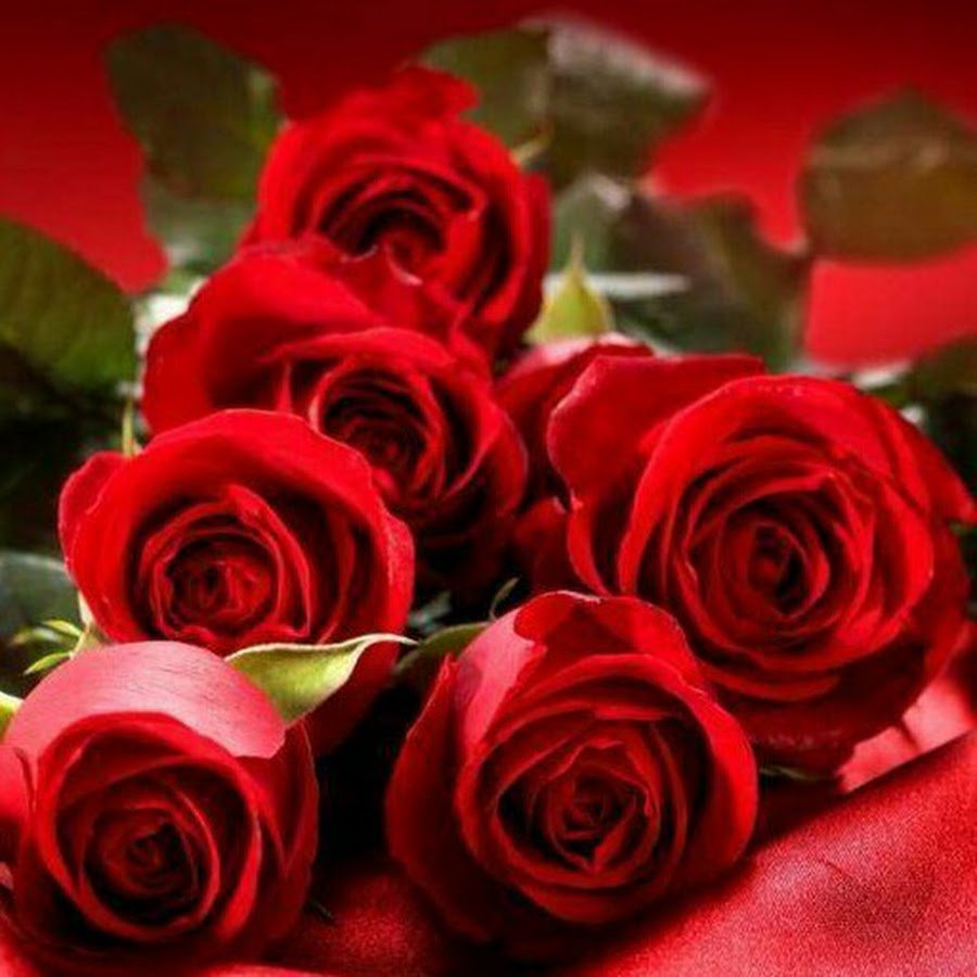 Катенька с днем рождения