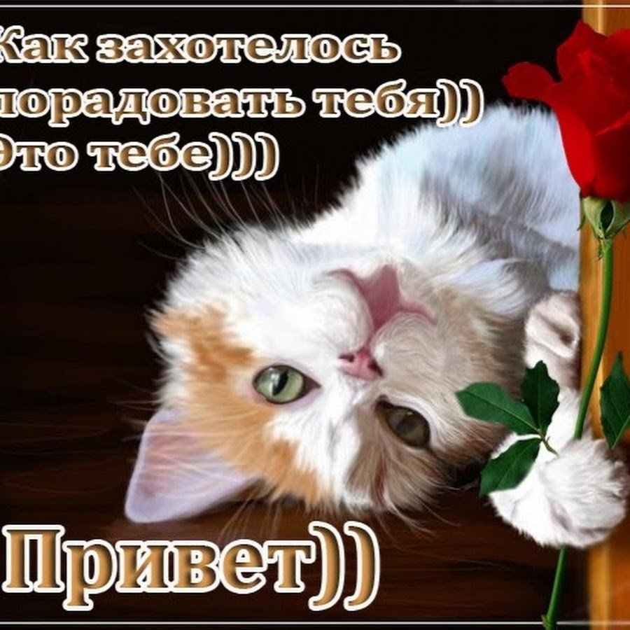 Привет меня зовут счастье