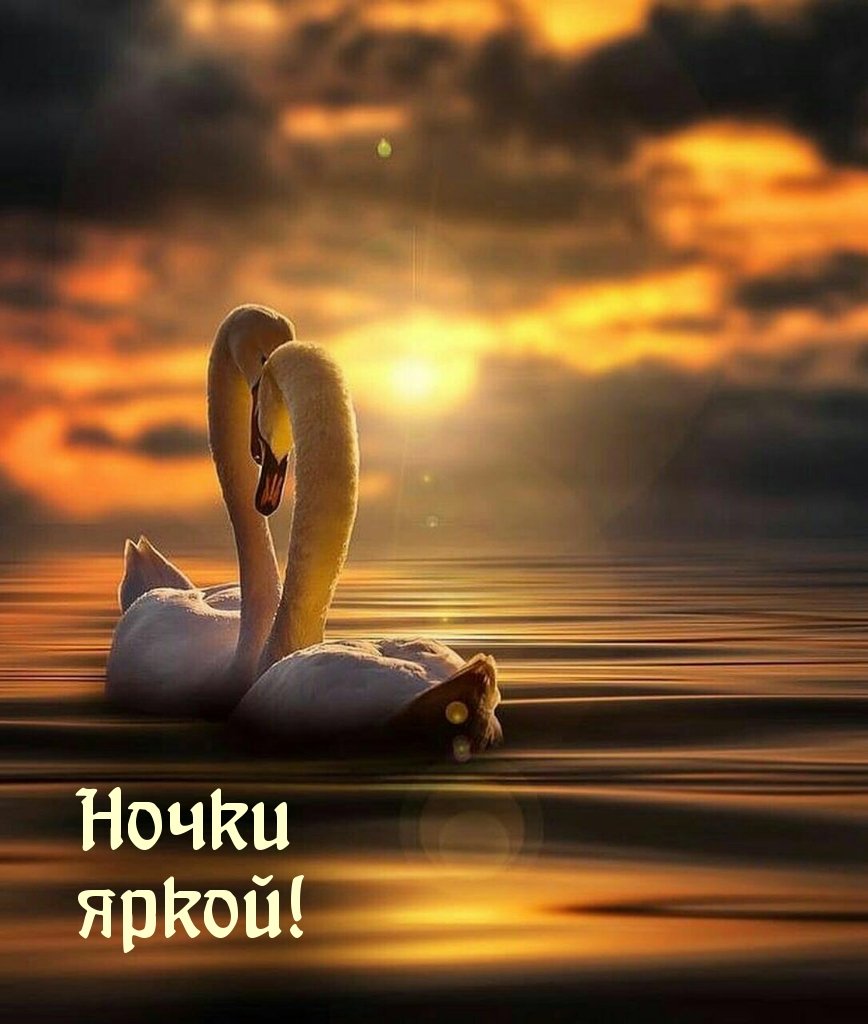 Пожелания спокойной ночи мужчине