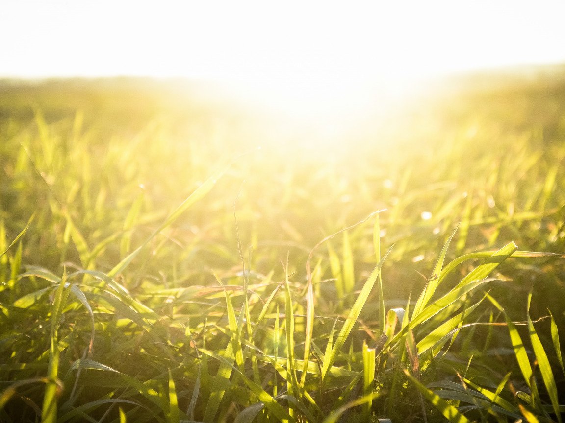 Природа солнце