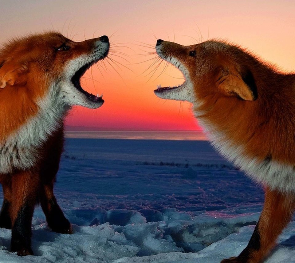 Первозданная Россия Сергей горшков