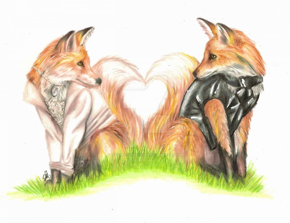 Волк и лиса