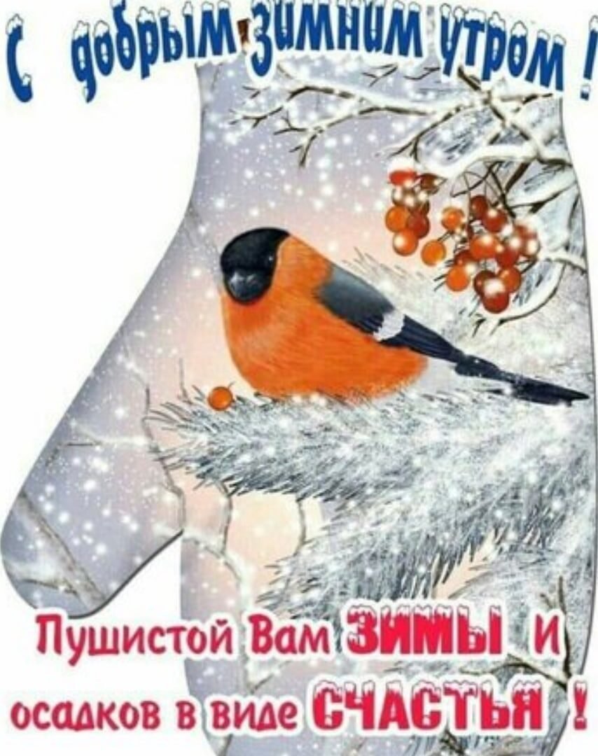 Доброе морозное утро