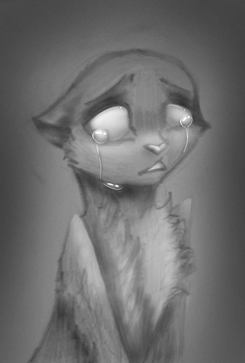 Плачущие коты Воители