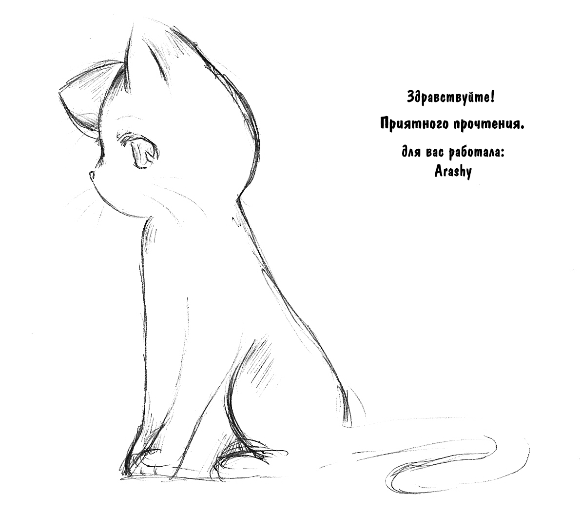 Котик боком рисунок для срисовки