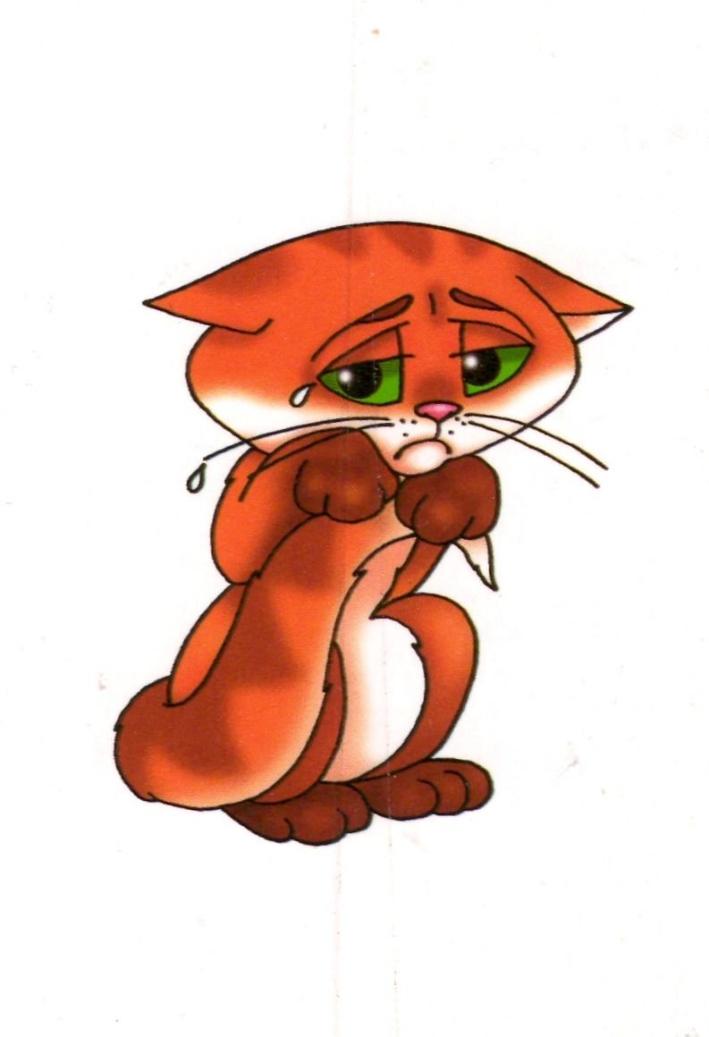 Кот плачет