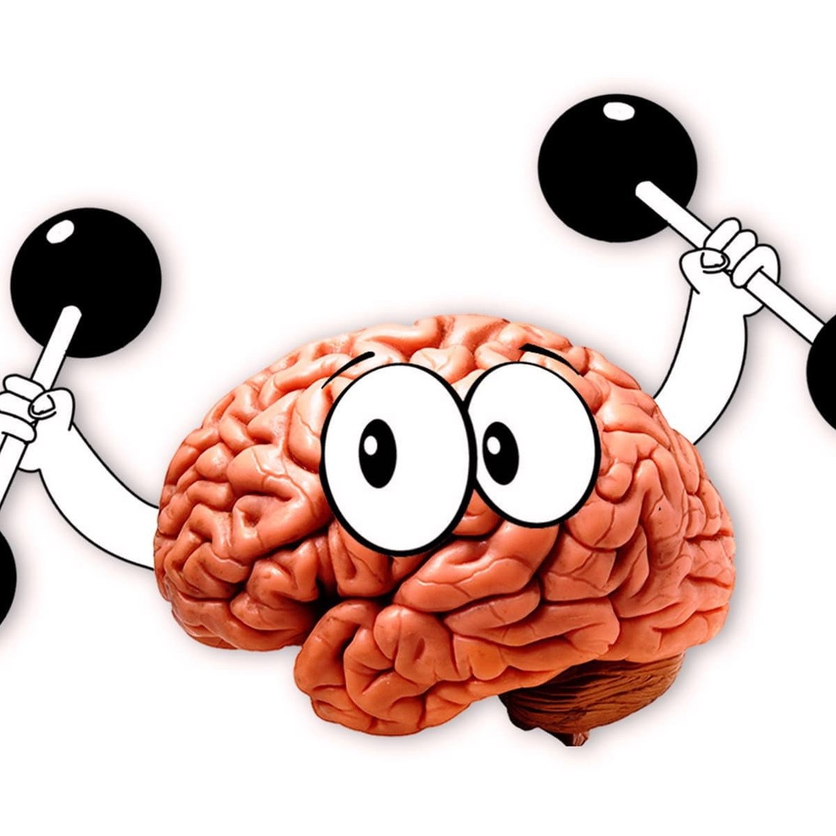 Прикольный мозг