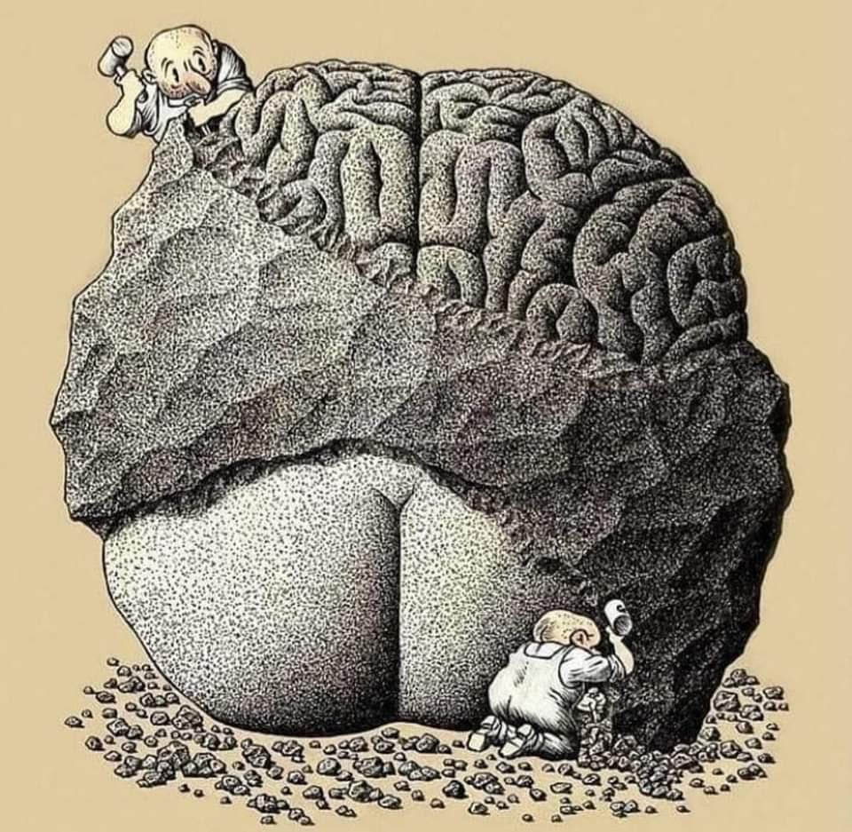 Стоковые иллюстрации