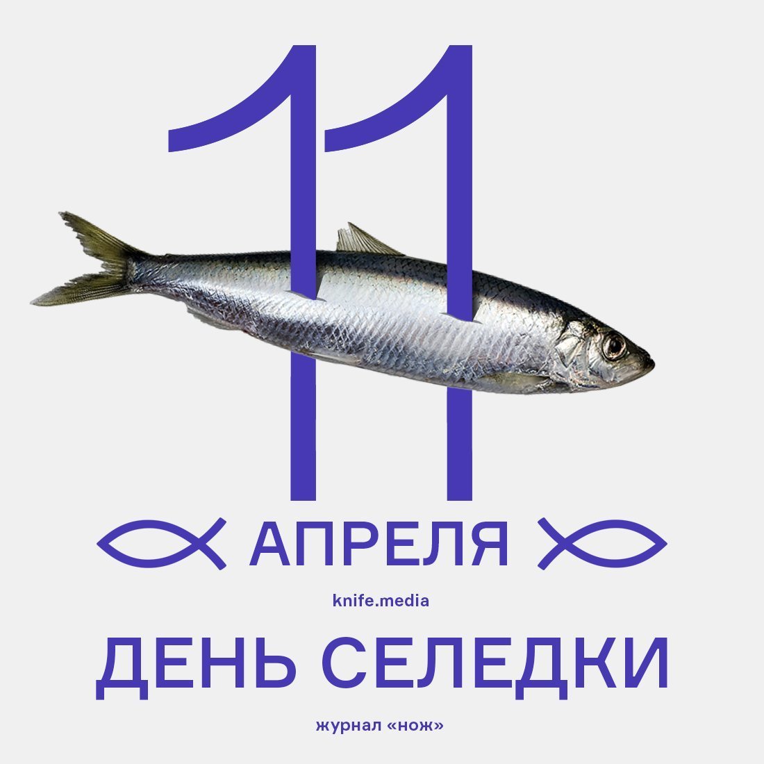 Селёдка смешно